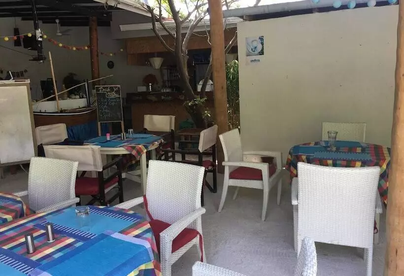 ペンション Beach Heaven Maldives   Golden Turtle Guest House