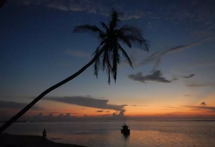ペンション Beach Heaven Maldives   Golden Turtle Guest House