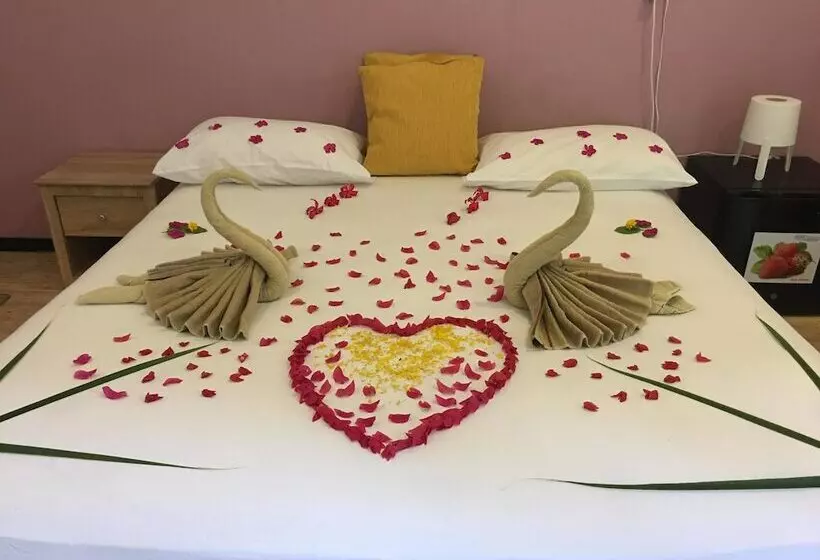 ペンション Beach Heaven Maldives   Golden Turtle Guest House