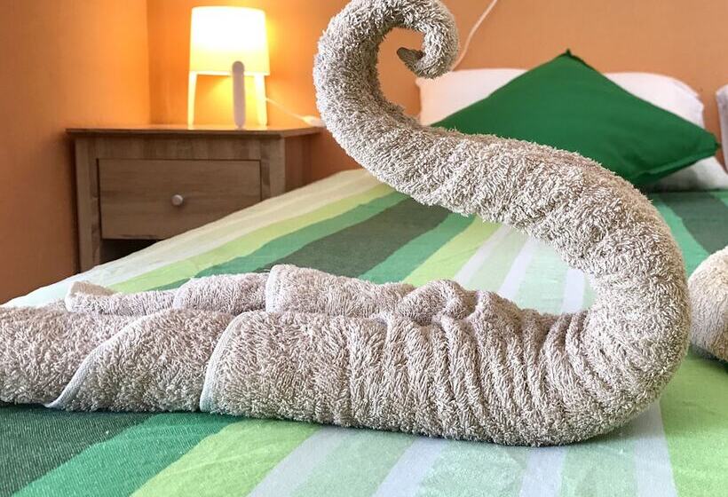 پانسیون Beach Heaven Maldives Golden Turtle Guest House