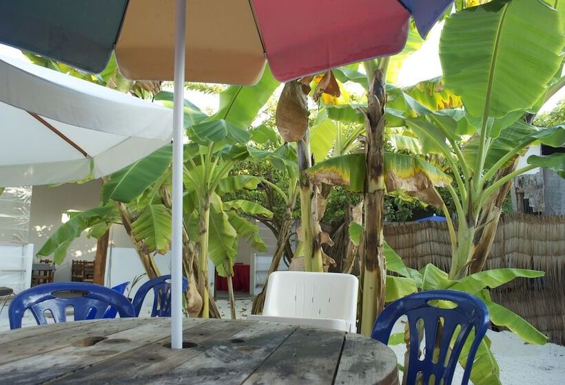 پانسیون Beach Heaven Maldives Golden Turtle Guest House