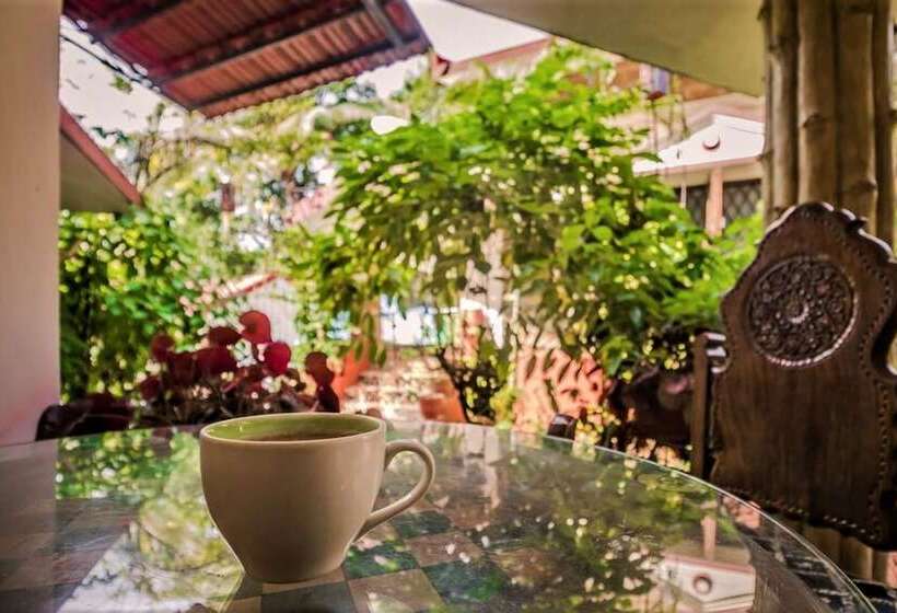 Pensão Boon S Ark Anjuna Goa