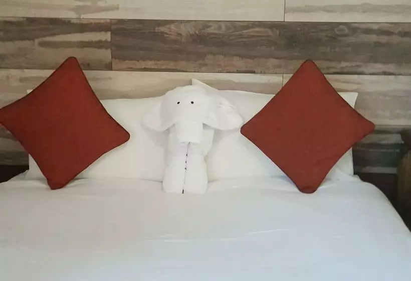 پانسیون Kalahari Sands Guest Lodge