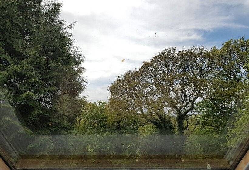 פנסיון Meadow Oak Accommodation