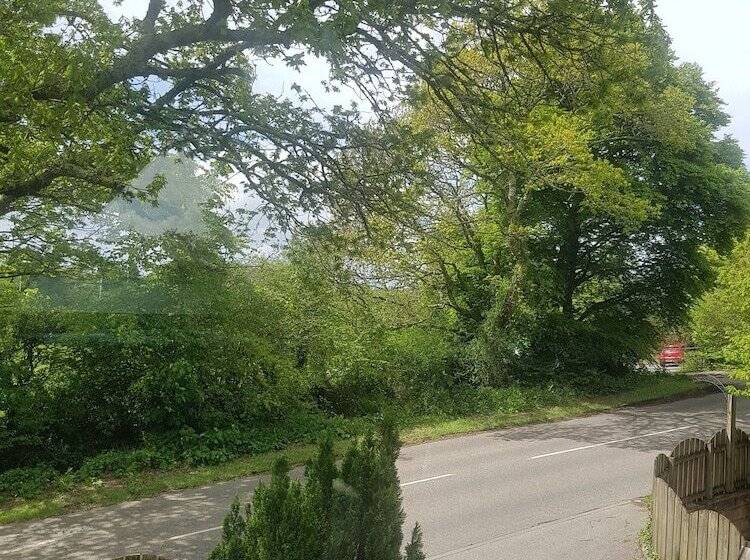 פנסיון Meadow Oak Accommodation