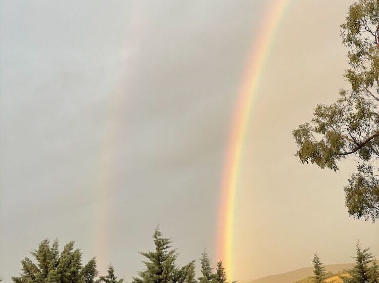 צימר The Studio Yarra Valley