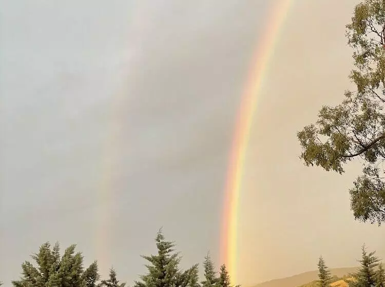 ベッドアンドブレックファースト The Studio  Yarra Valley