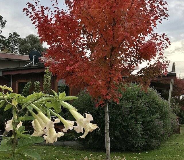 צימר The Studio Yarra Valley