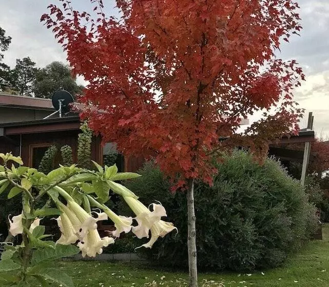 ベッドアンドブレックファースト The Studio  Yarra Valley