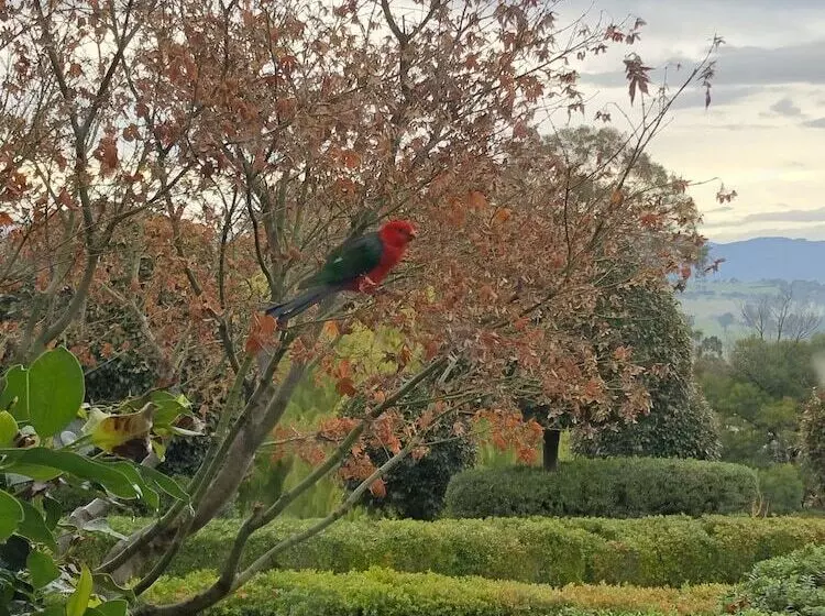 ベッドアンドブレックファースト The Studio  Yarra Valley