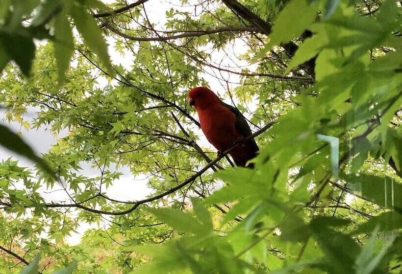 צימר The Studio Yarra Valley