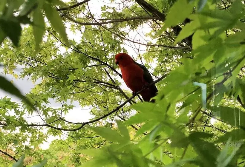 ベッドアンドブレックファースト The Studio  Yarra Valley