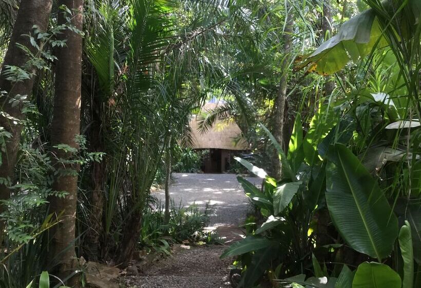 هتل Phophonyane Falls Ecolodge