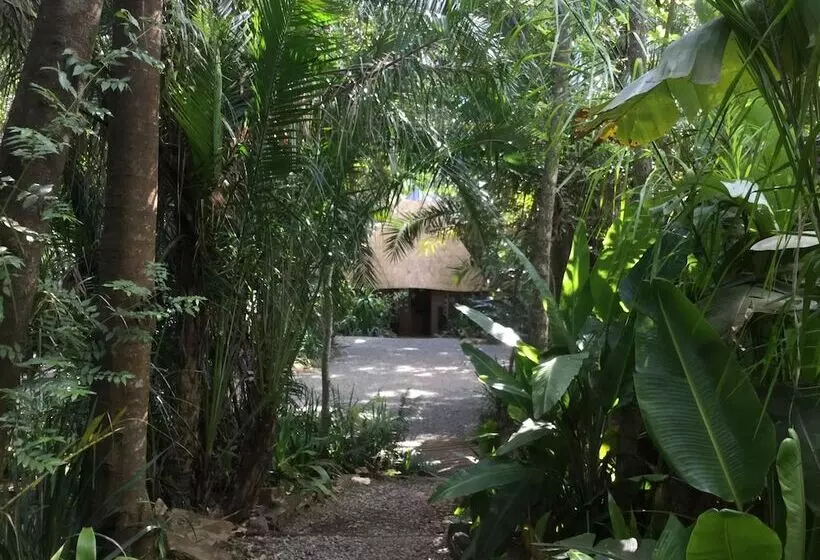 هتل Phophonyane Falls Ecolodge