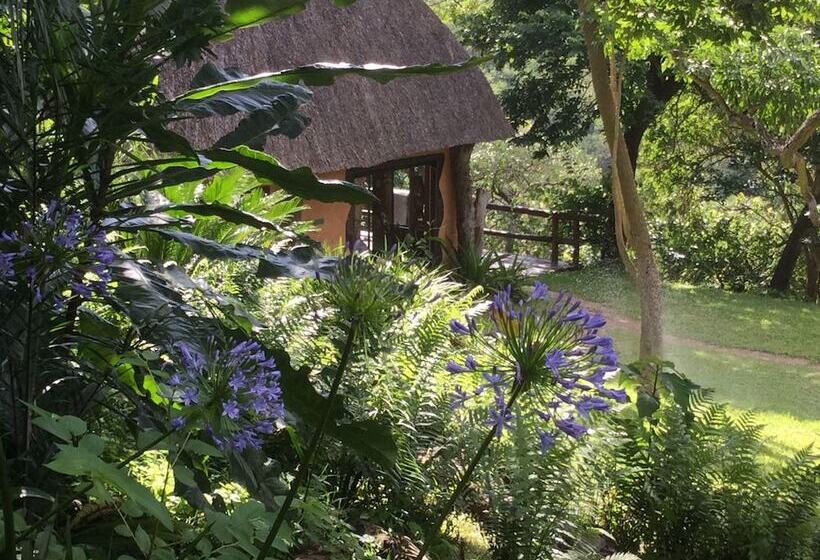 هتل Phophonyane Falls Ecolodge