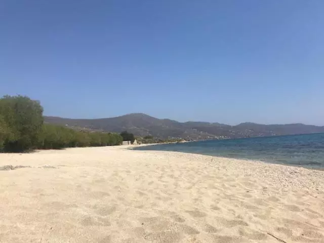 Karystos Muse