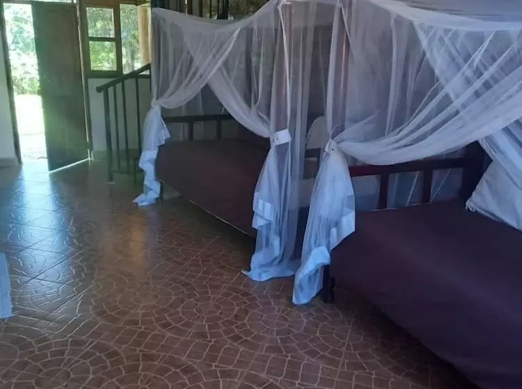 پانسیون Secrets Guest House Entebbe