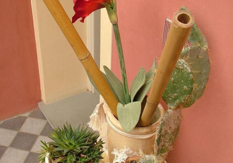 Bed and Breakfast Locanda Zacco