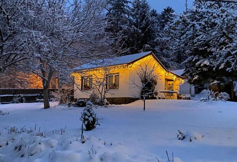 Ferienwohnungen Elsterblick Bad Elster