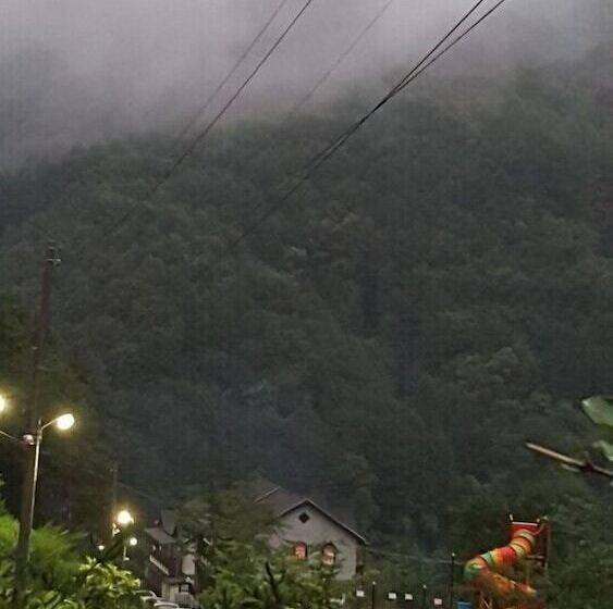 酒店 Haena Pension