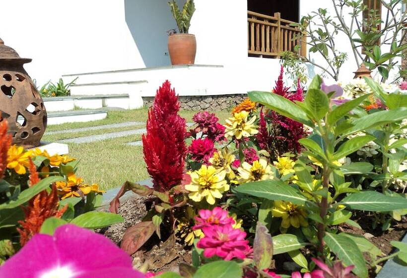 酒店 Le Grand Pakbeng