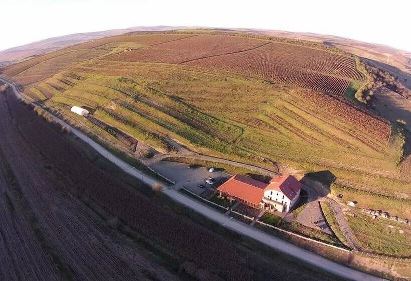 هتل Pensiunea Sarea N Bucate