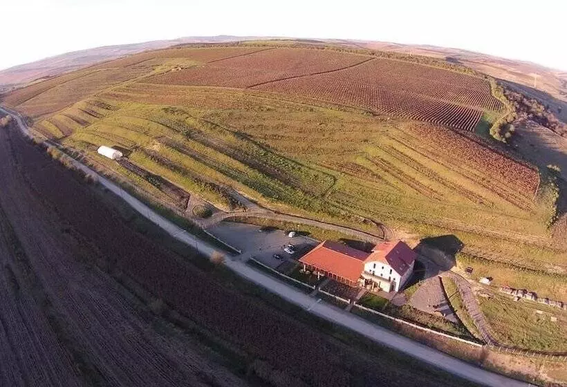 Hotelli Pensiunea Sarea N Bucate