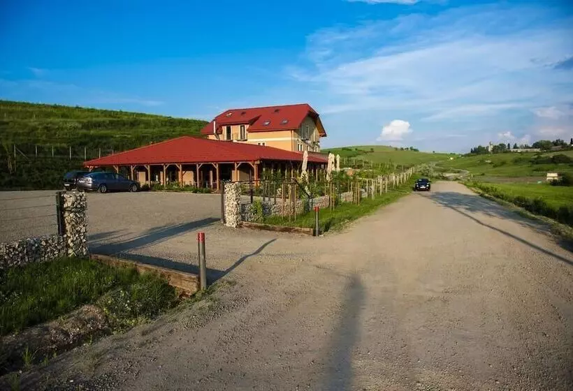 Hotelli Pensiunea Sarea N Bucate