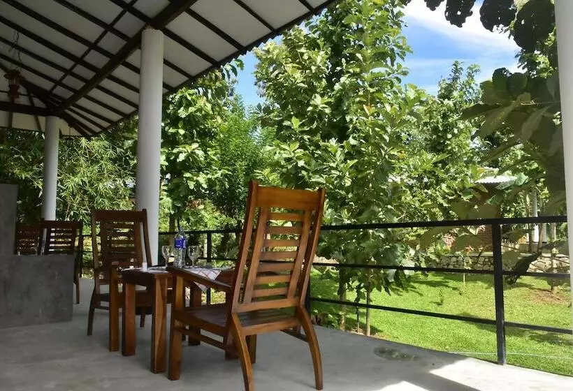 هتل Safari Queens Resort
