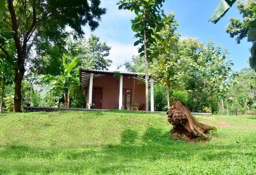 هتل Safari Queens Resort