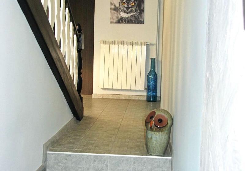 פנסיון 7th Room Guest House