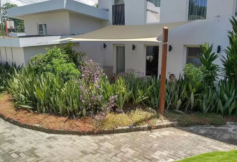 Red Mango Apartment