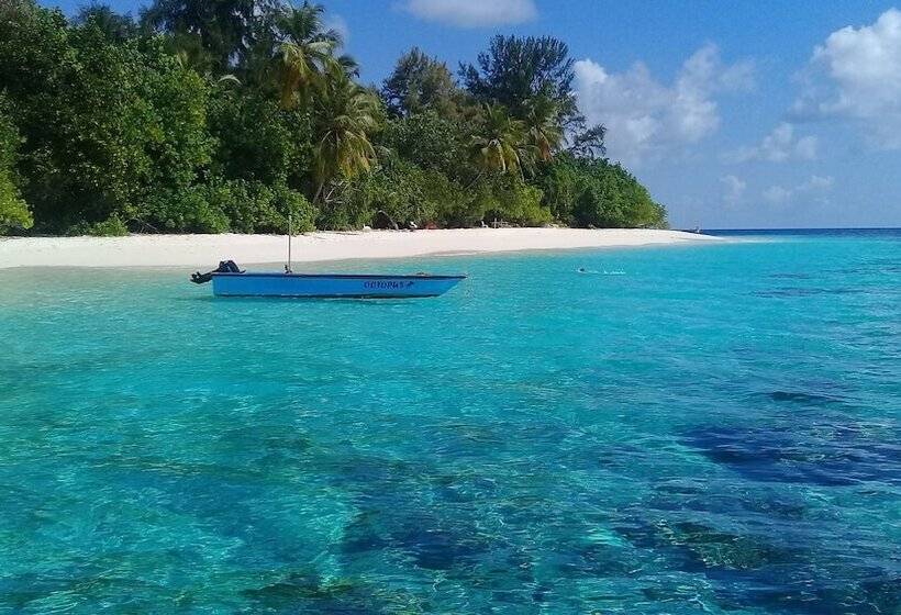 تختخواب و صبحانه Chill Holiday Maldives