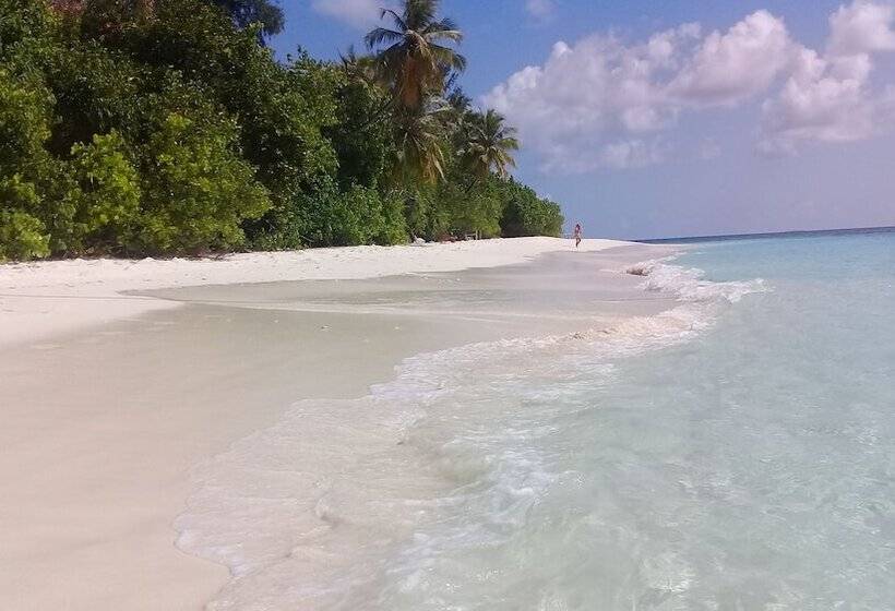 تختخواب و صبحانه Chill Holiday Maldives