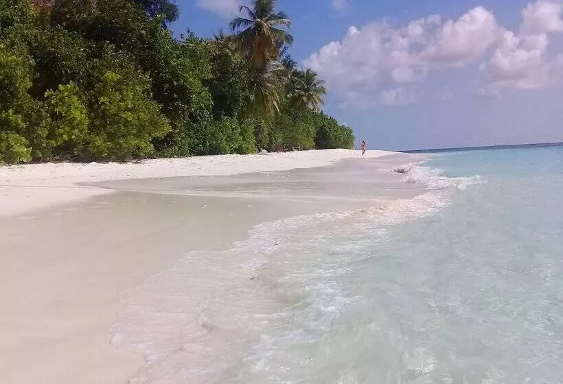 تختخواب و صبحانه Chill Holiday Maldives