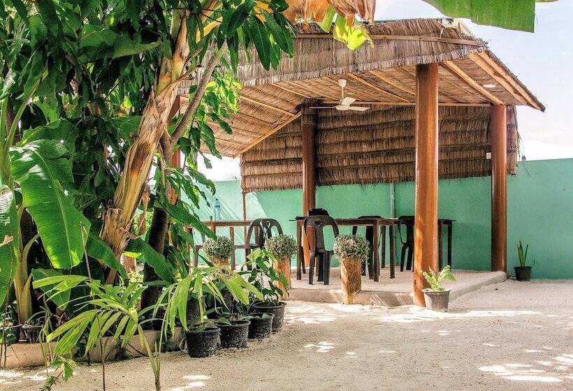 تختخواب و صبحانه Chill Holiday Maldives