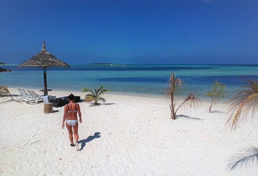 تختخواب و صبحانه Chill Holiday Maldives