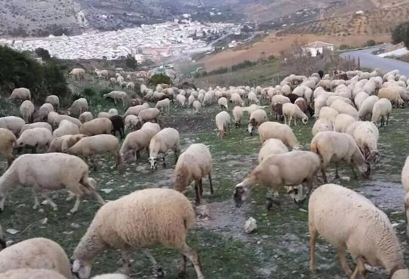 Hotelli Hostal Vista A La Sierra