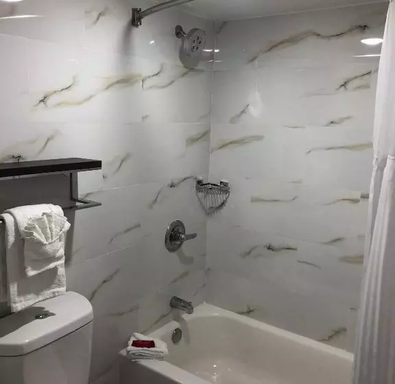 Surestay Plus Hotel By Best Western Sacramento Cal Expo