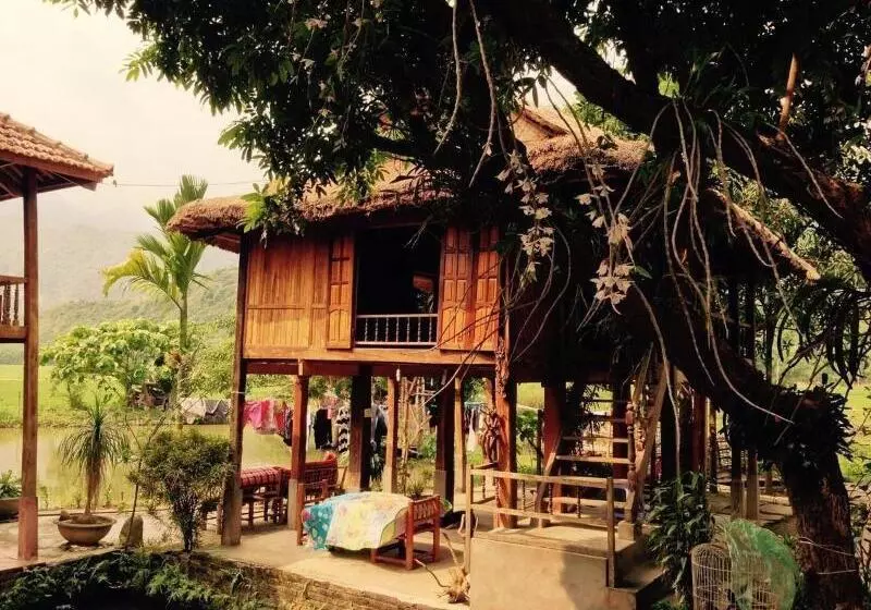 Linh Soi Homestay   Hostel