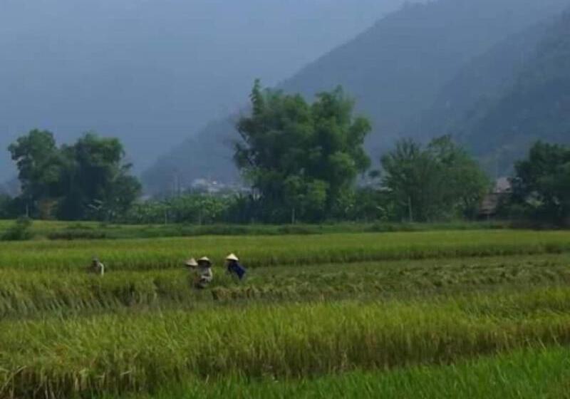 Linh Soi Homestay Hostel