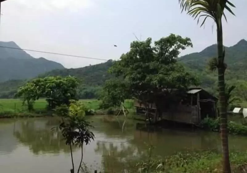 Linh Soi Homestay   Hostel