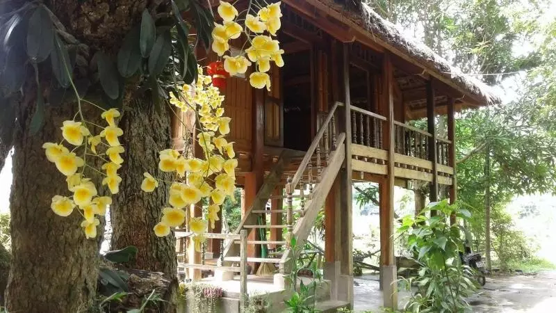 Linh Soi Homestay   Hostel