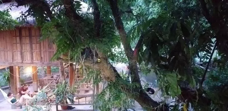 Linh Soi Homestay   Hostel