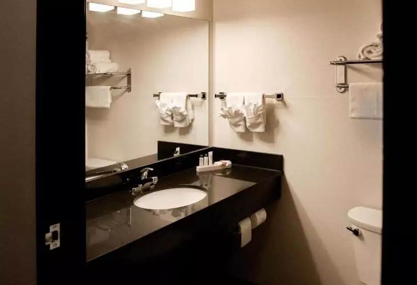 Motelli Black Gold Suites Stanley