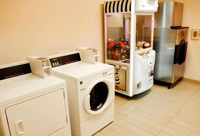 Motelli Black Gold Suites Stanley