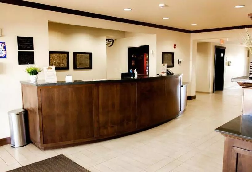 Motelli Black Gold Suites Stanley