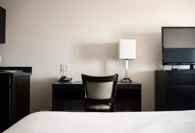 Motelli Black Gold Suites Stanley