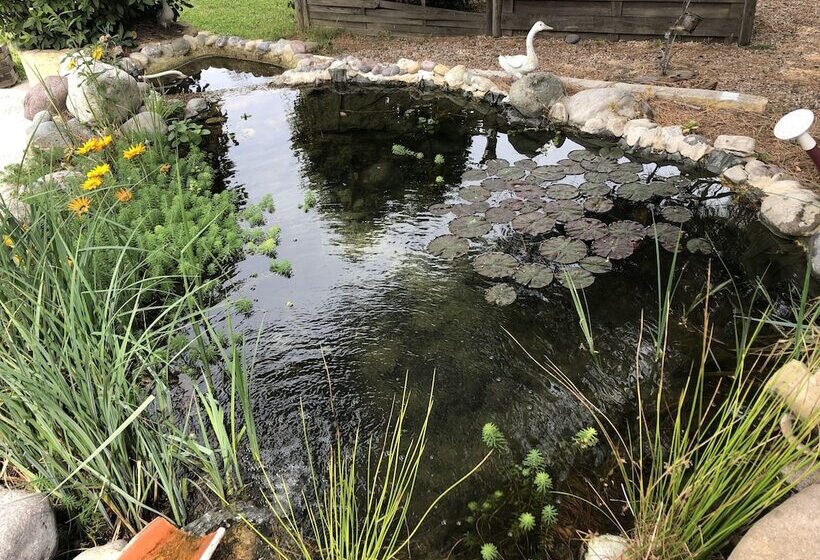 پانسیون Casa Di Floumy