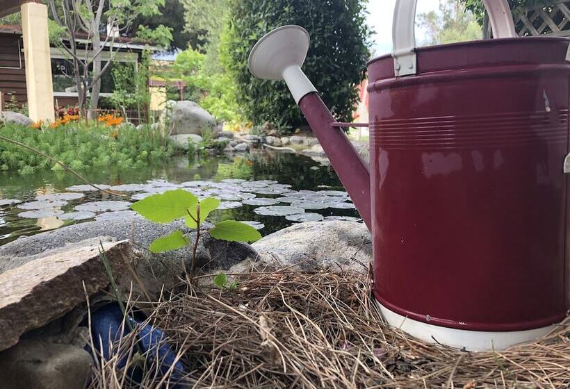 پانسیون Casa Di Floumy